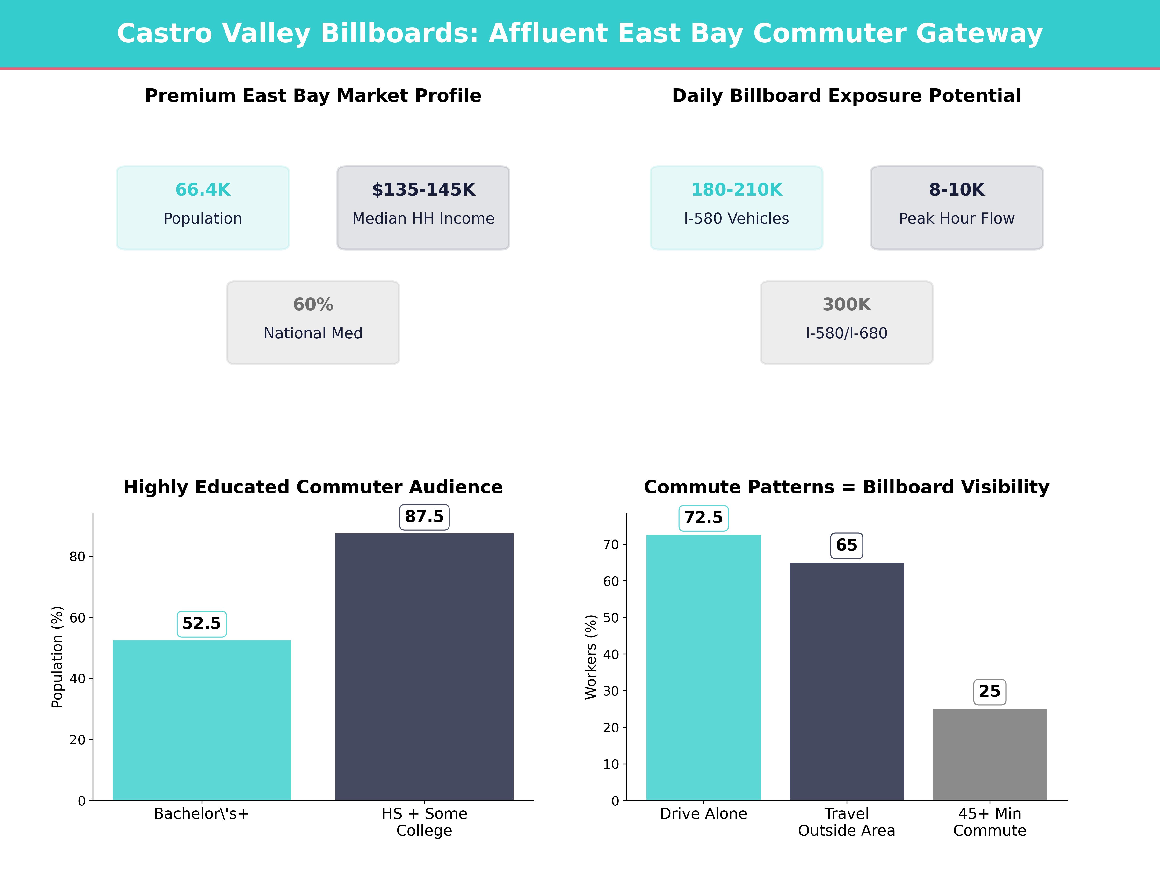 Infographic showing key insights and demographics for California, Castro Valley
