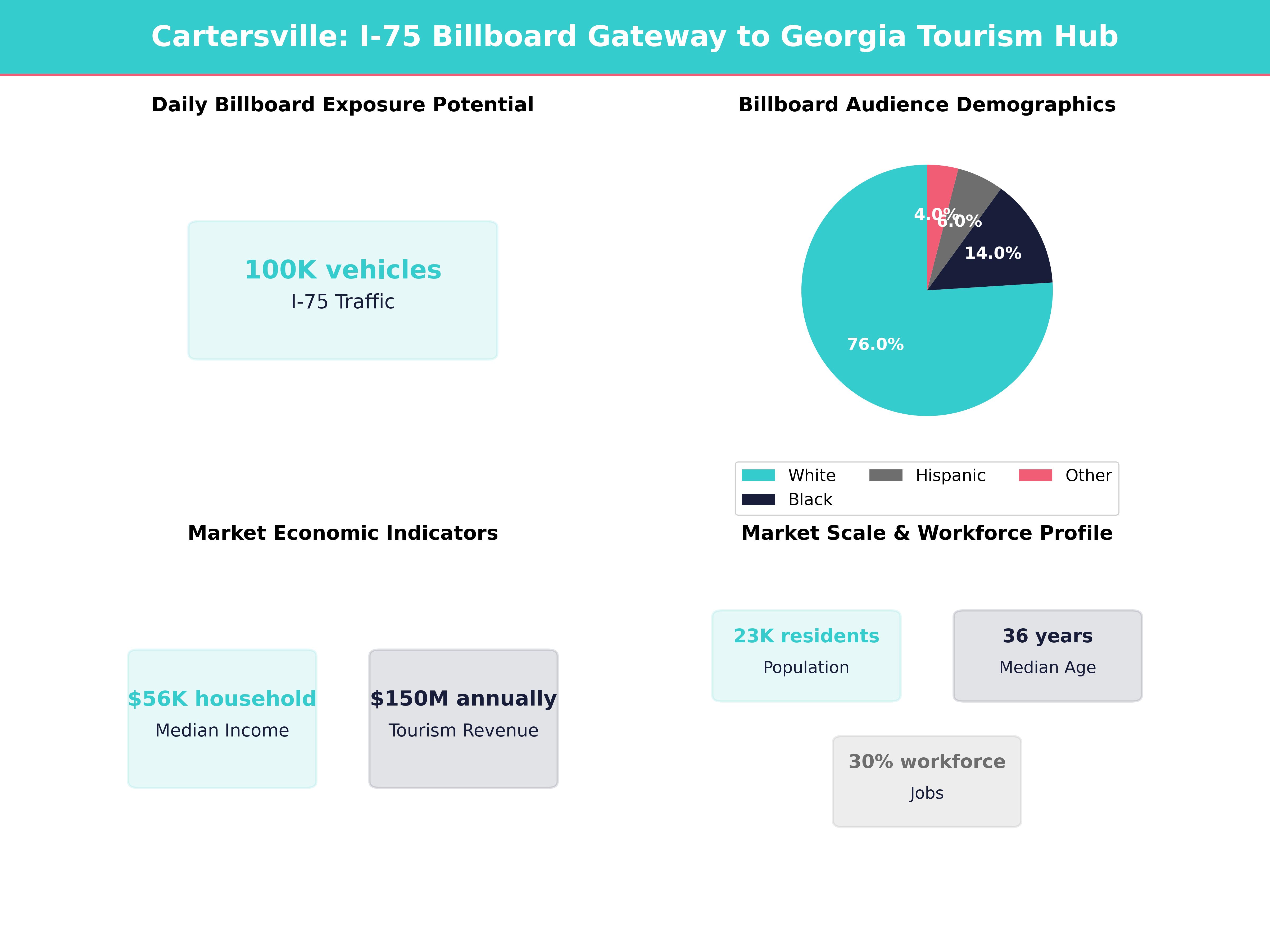 Infographic showing key insights and demographics for Georgia, Cartersville