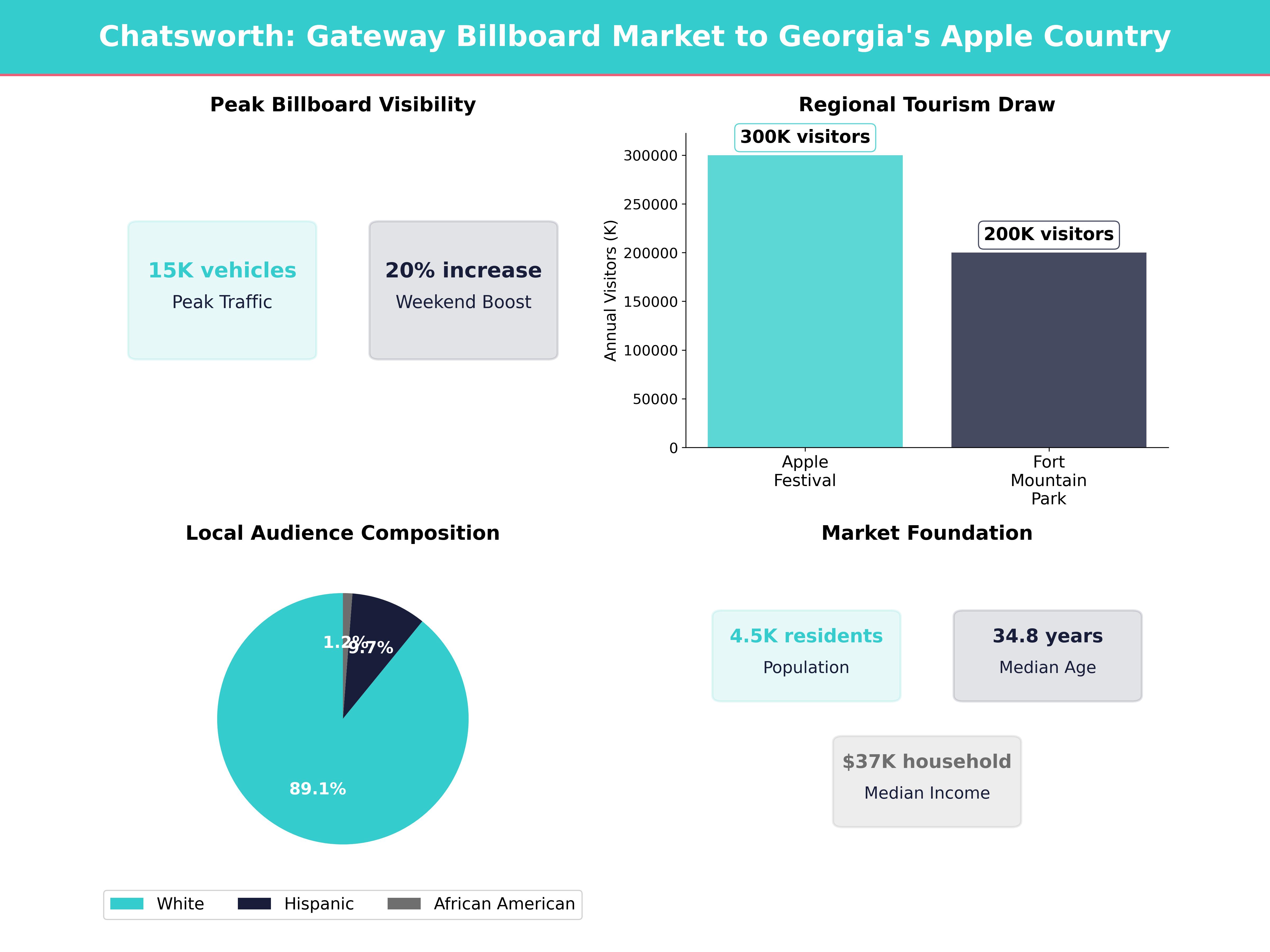 Infographic showing key insights and demographics for Georgia, Chatsworth