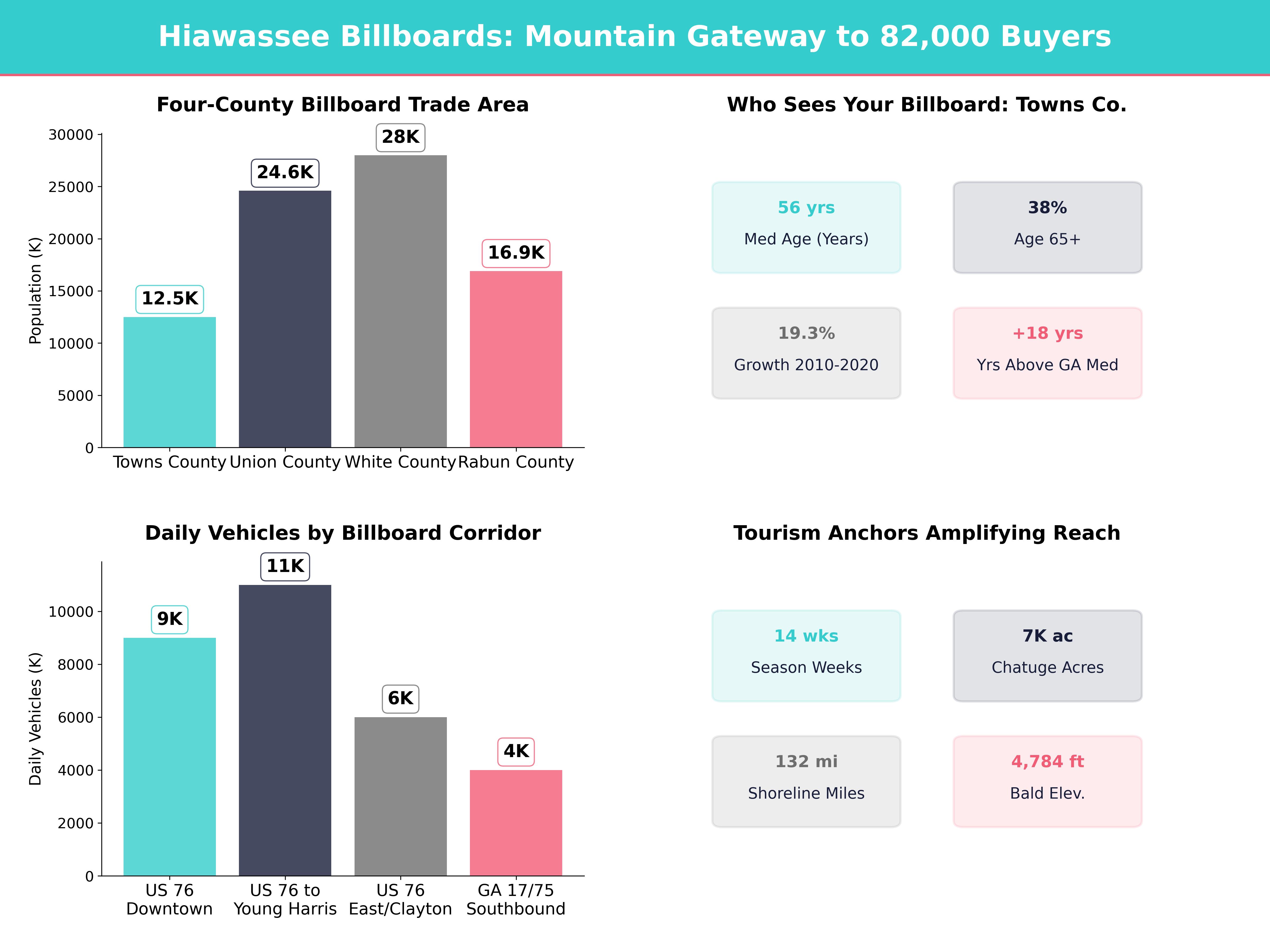 Infographic showing key insights and demographics for Georgia, Hiawassee Ga