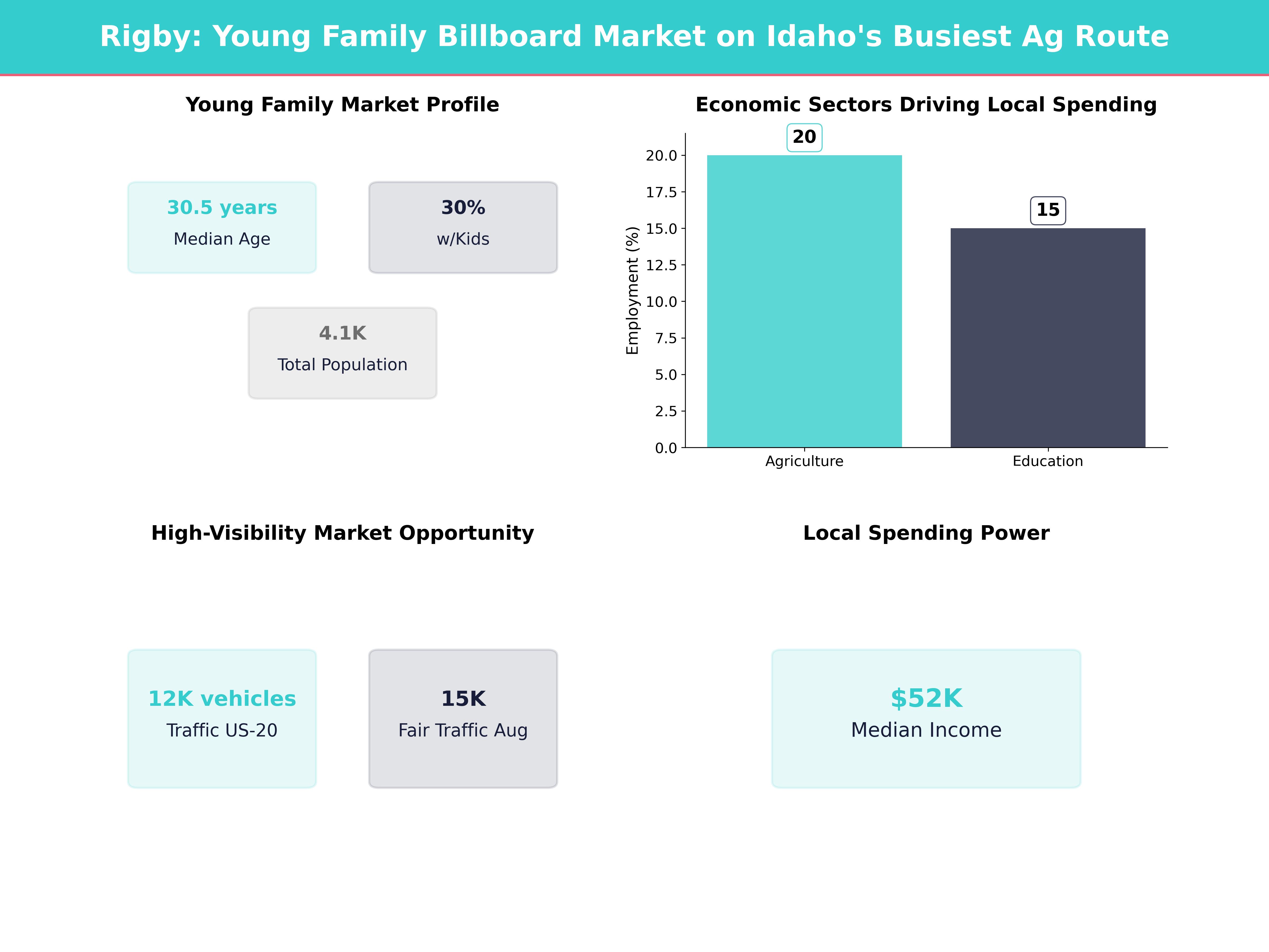 Infographic showing key insights and demographics for Idaho, Rigby