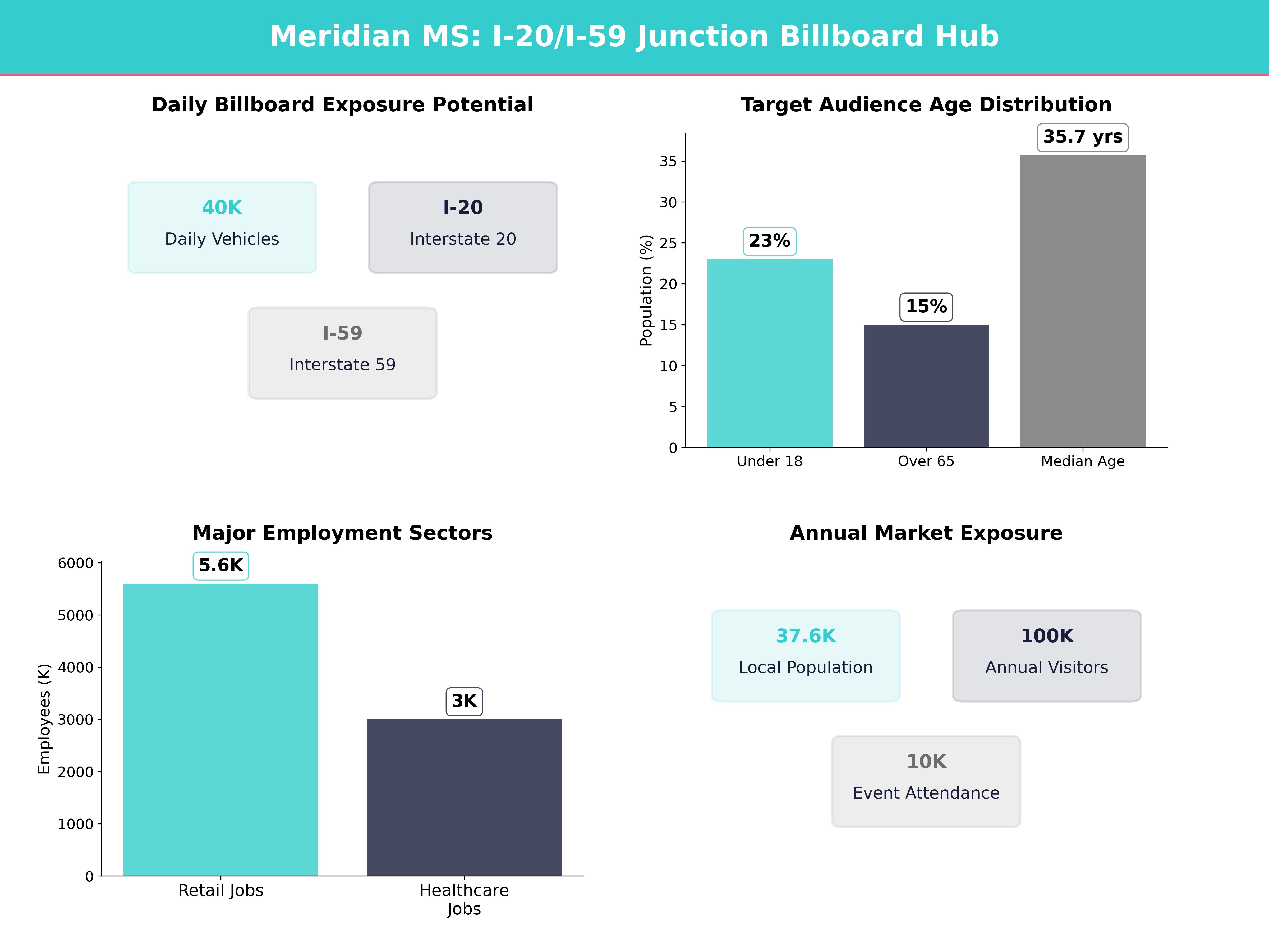 Infographic showing key insights and demographics for Mississippi, Meridian