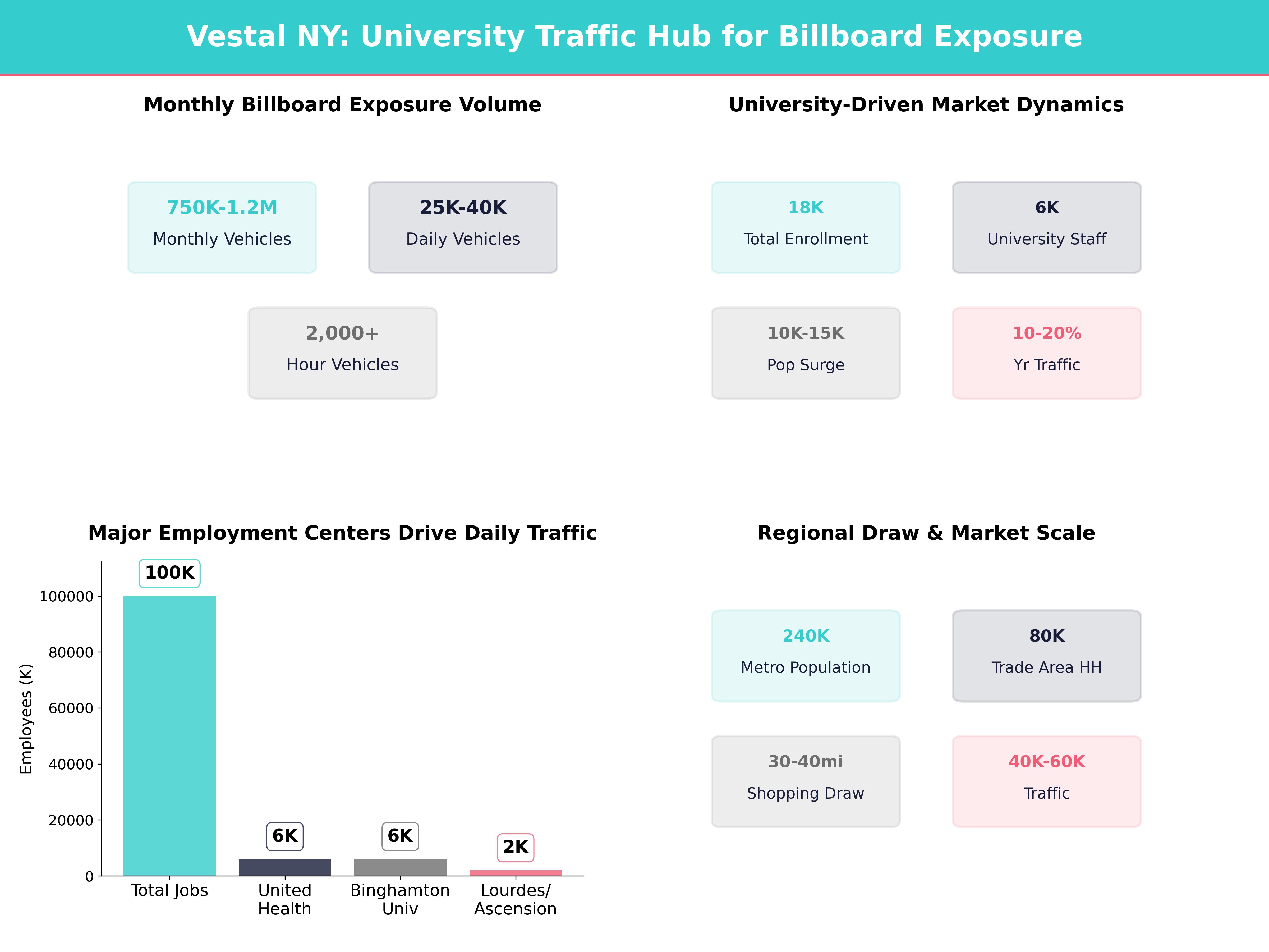 Infographic showing key insights and demographics for New York, Binghamton