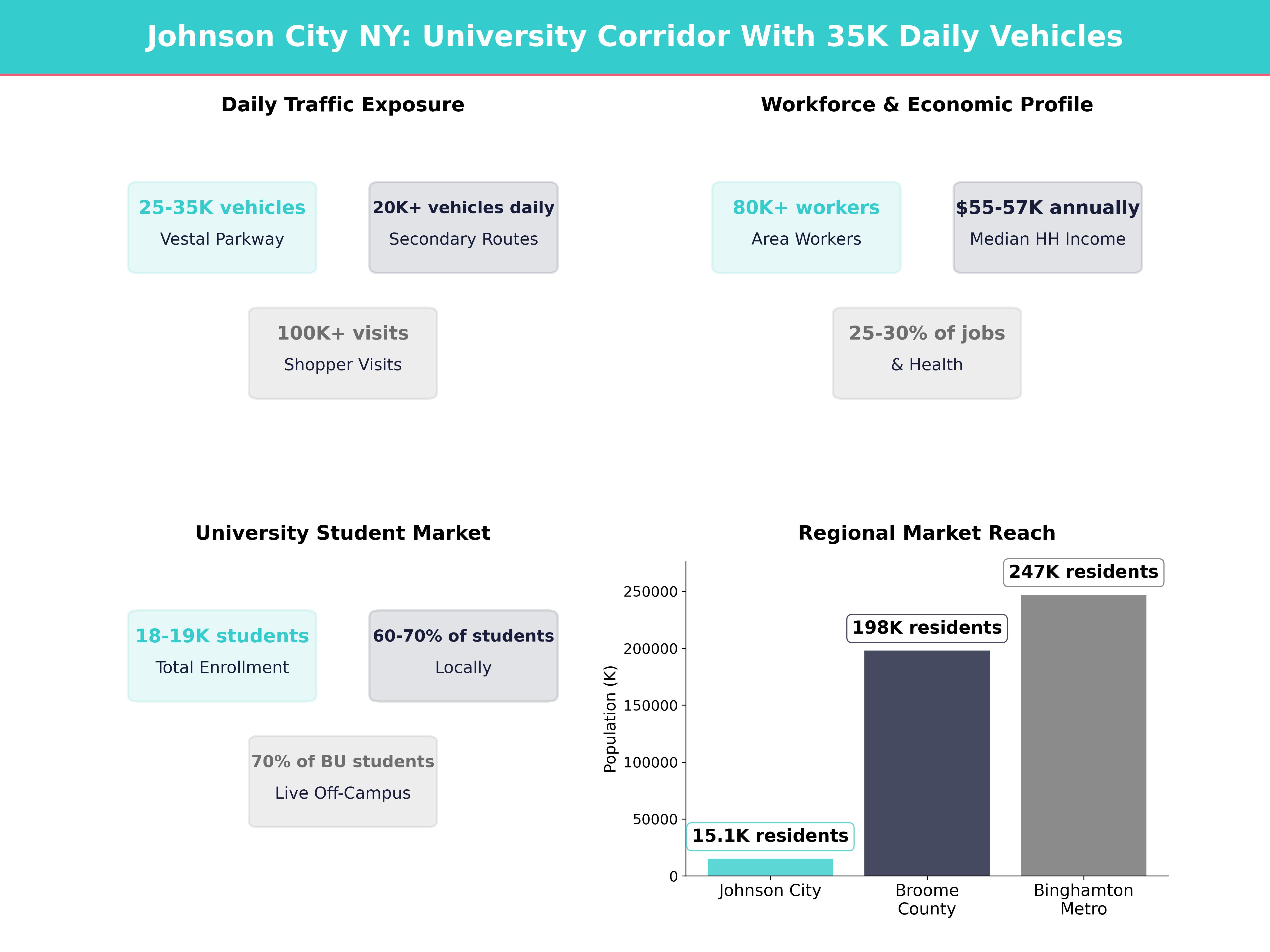 Infographic showing key insights and demographics for New York, Johnson City