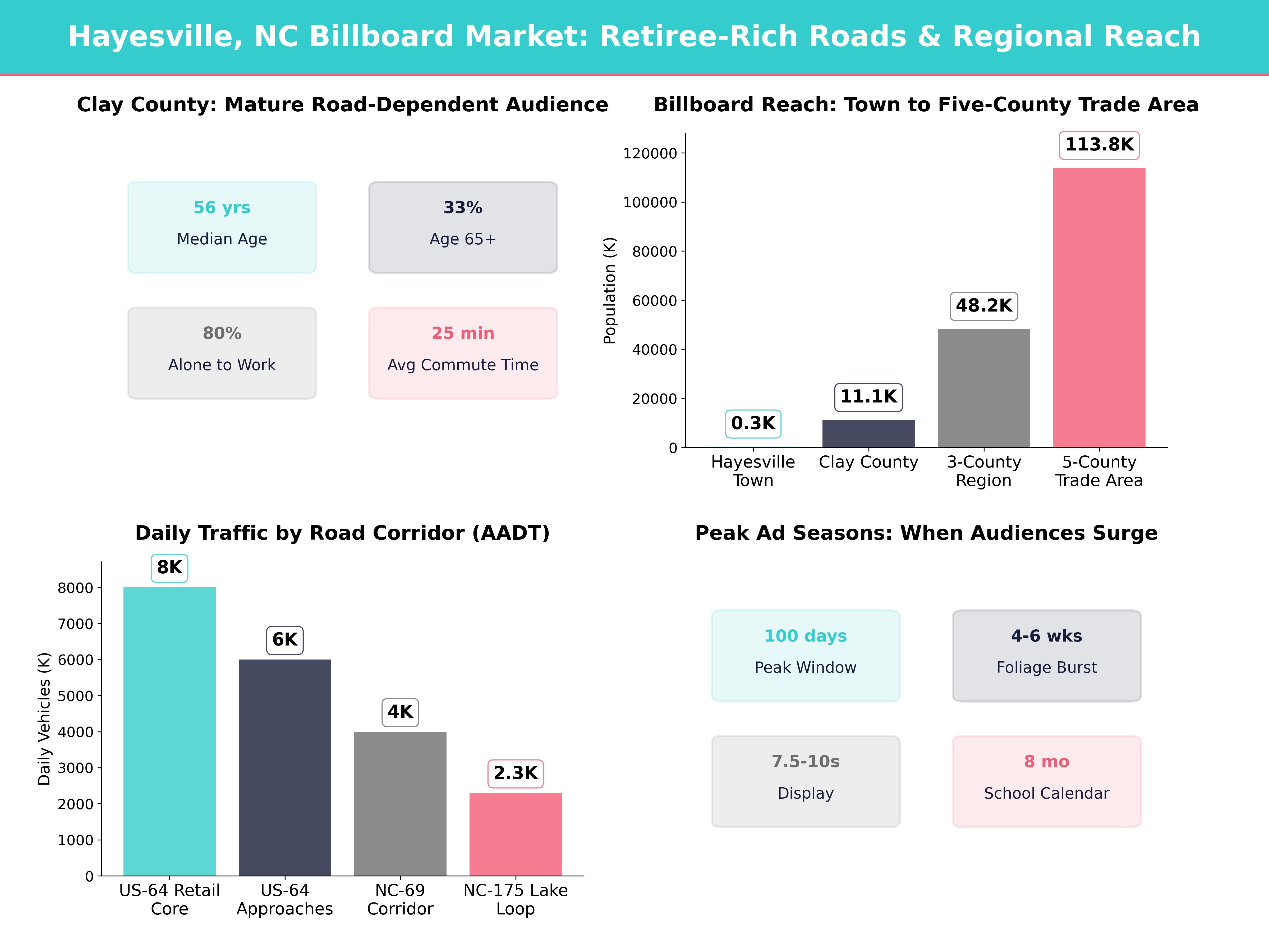 Infographic showing key insights and demographics for North Carolina, Hayesville Nc