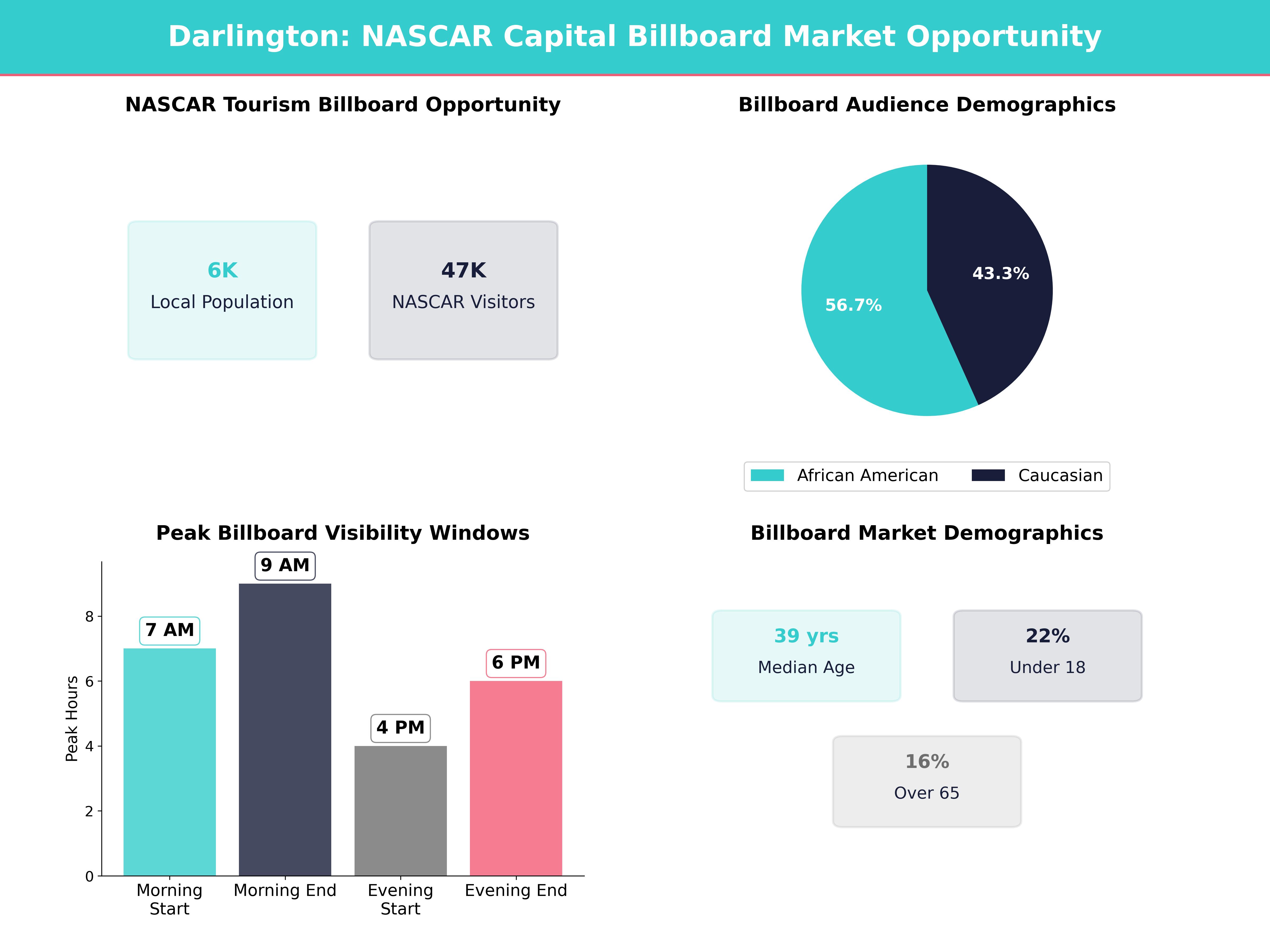 Infographic showing key insights and demographics for South Carolina, Darlington
