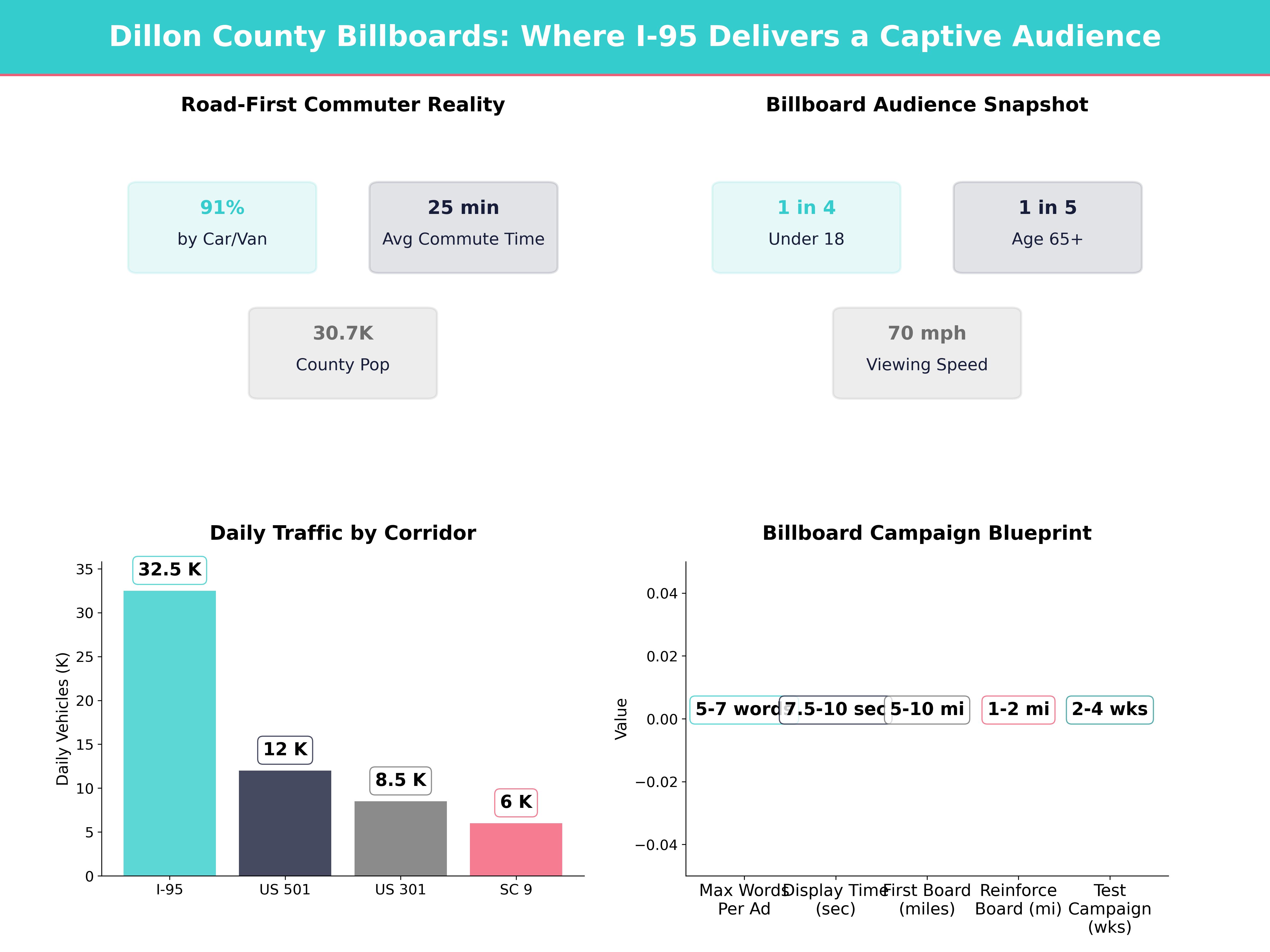 Infographic showing key insights and demographics for South Carolina, Dillon Sc