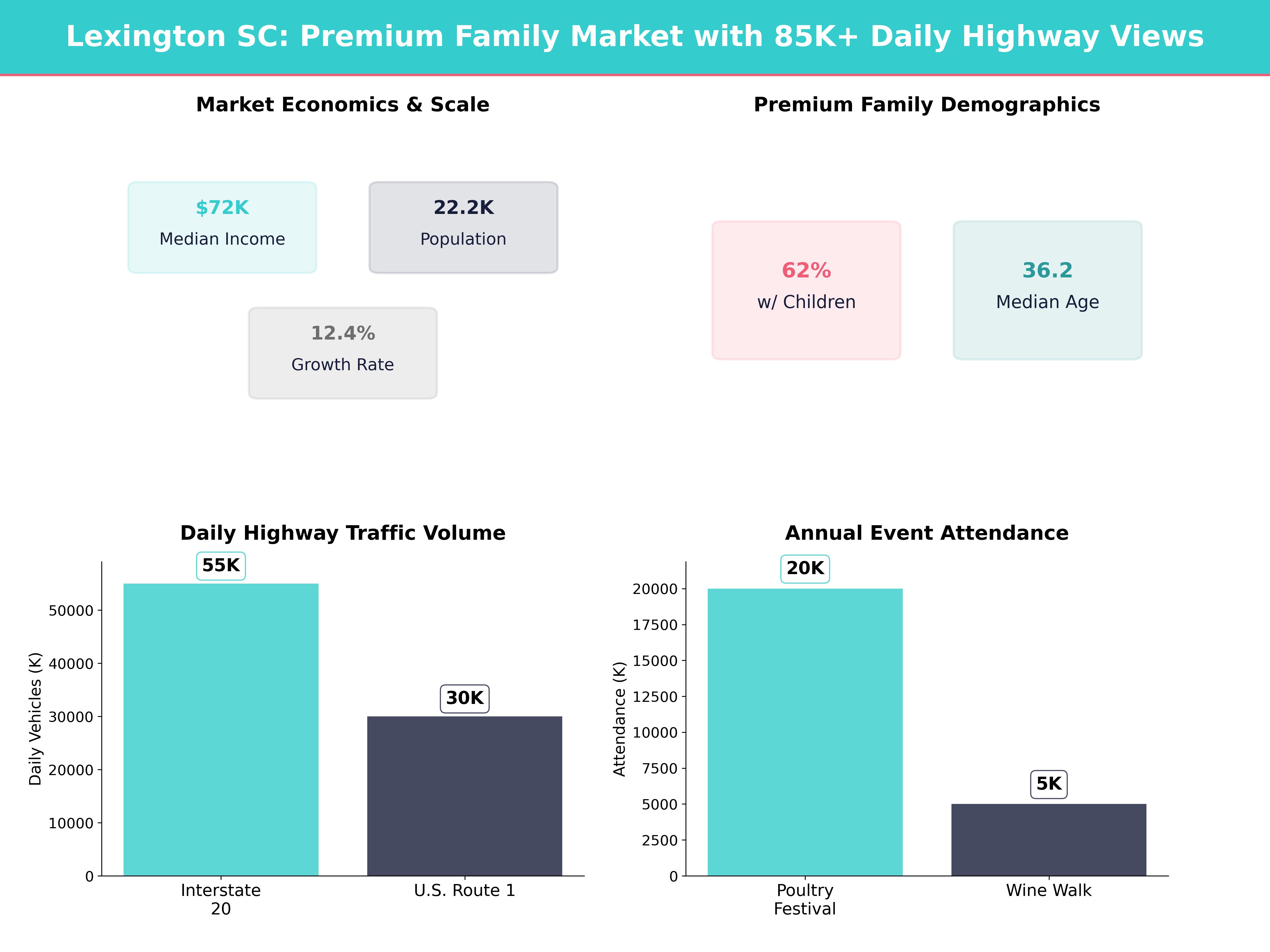 Infographic showing key insights and demographics for South Carolina, Lexington