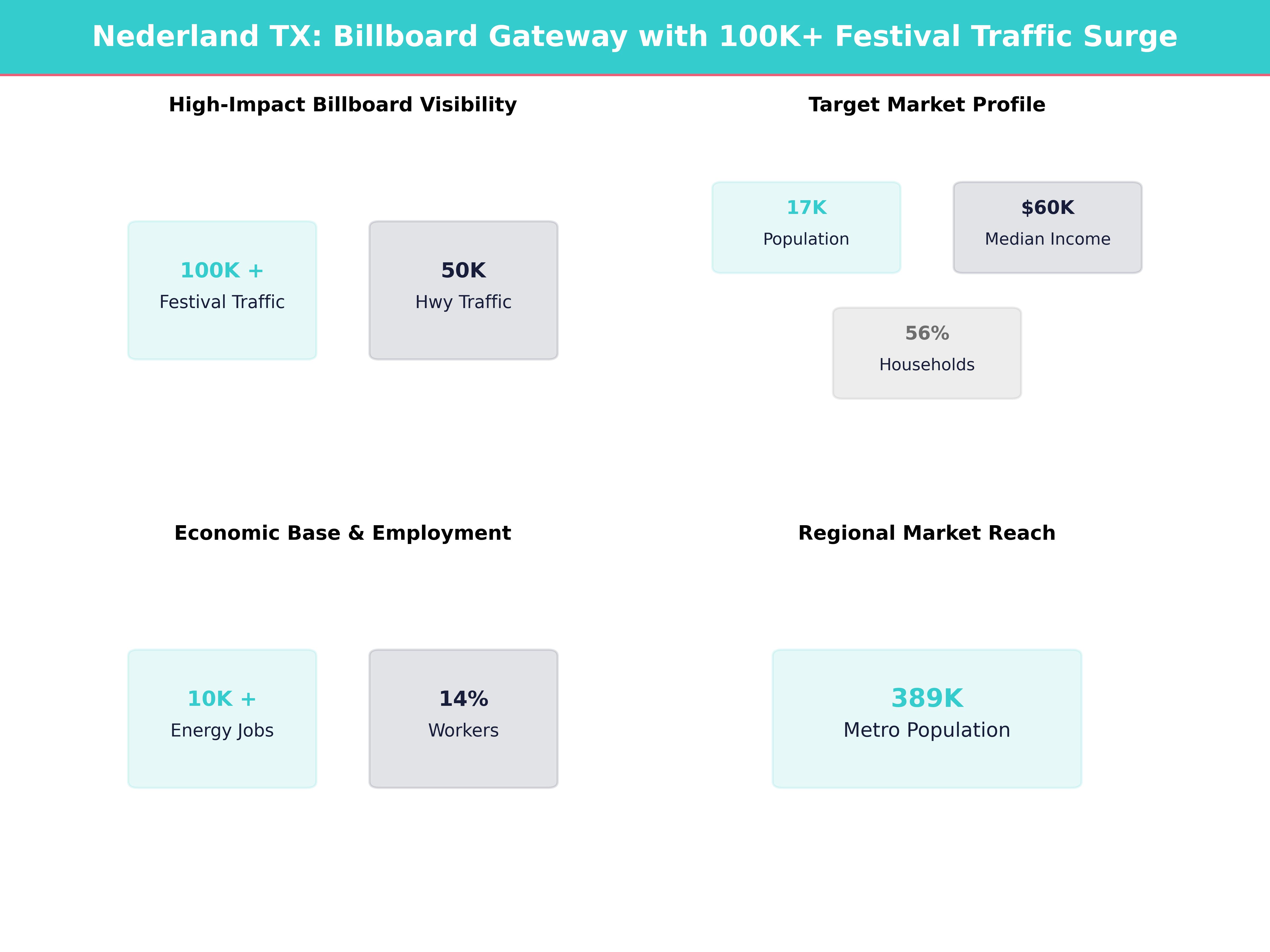 Infographic showing key insights and demographics for Texas, Nederland