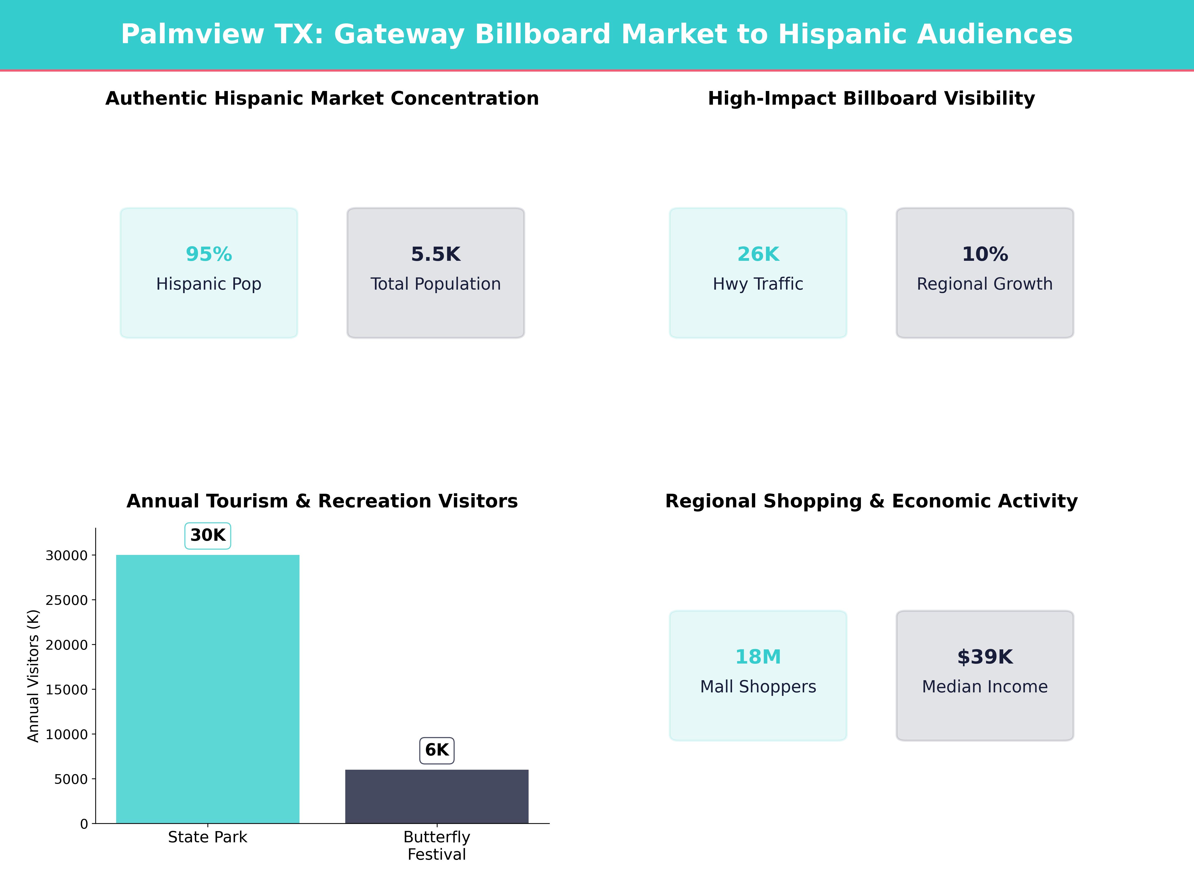 Infographic showing key insights and demographics for Texas, Palmview