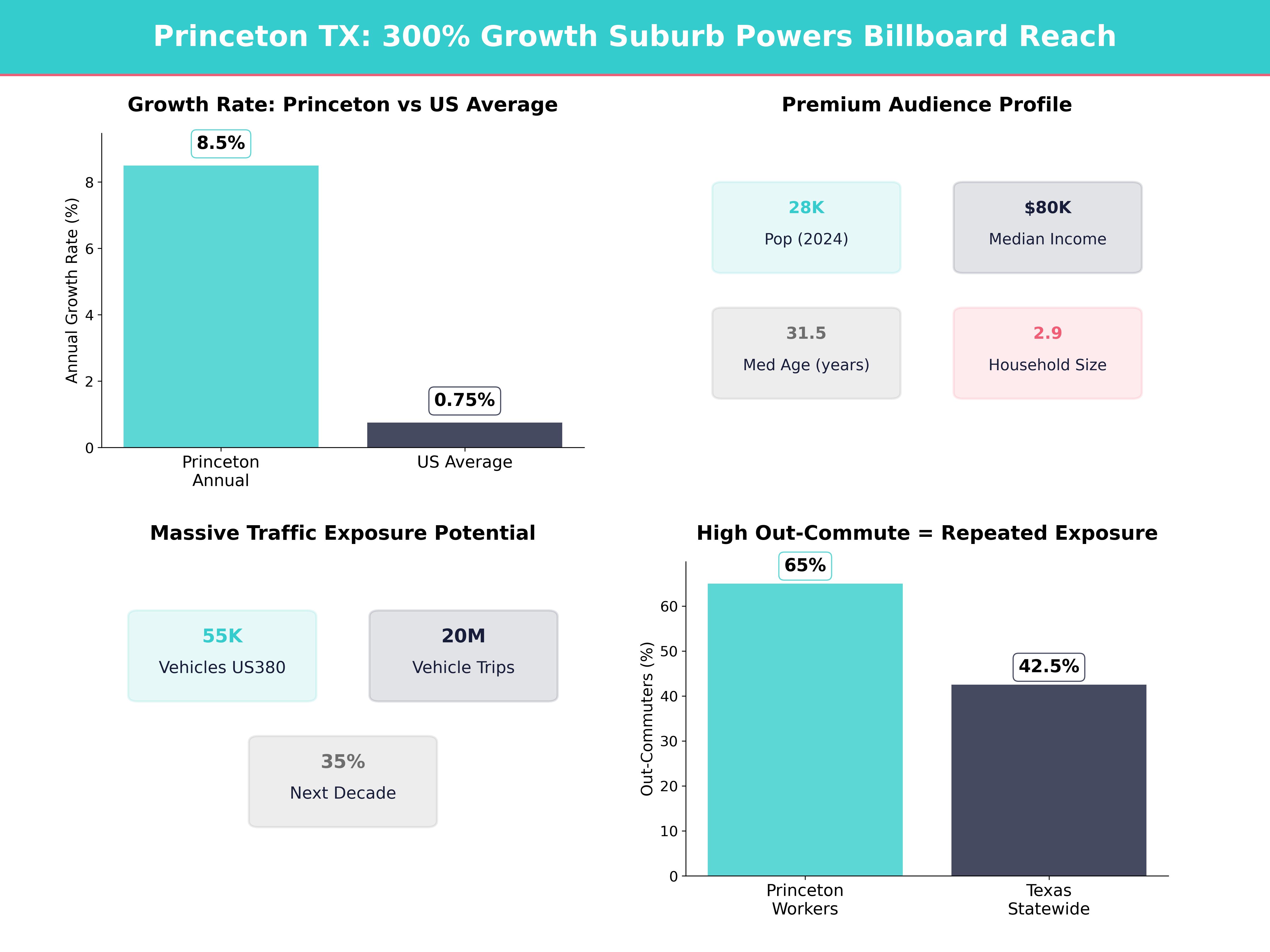 Infographic showing key insights and demographics for Texas, Princeton