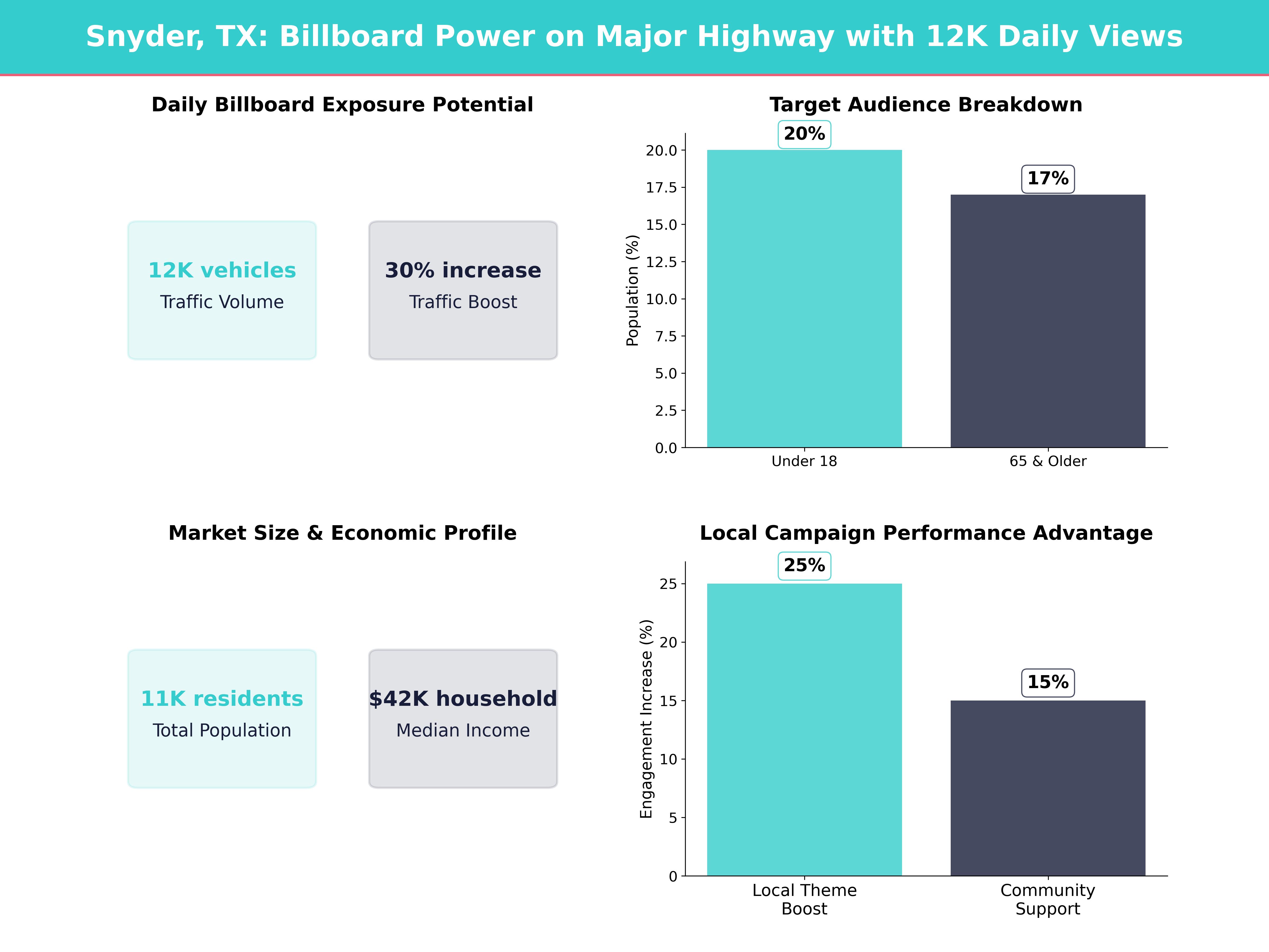 Infographic showing key insights and demographics for Texas, Snyder