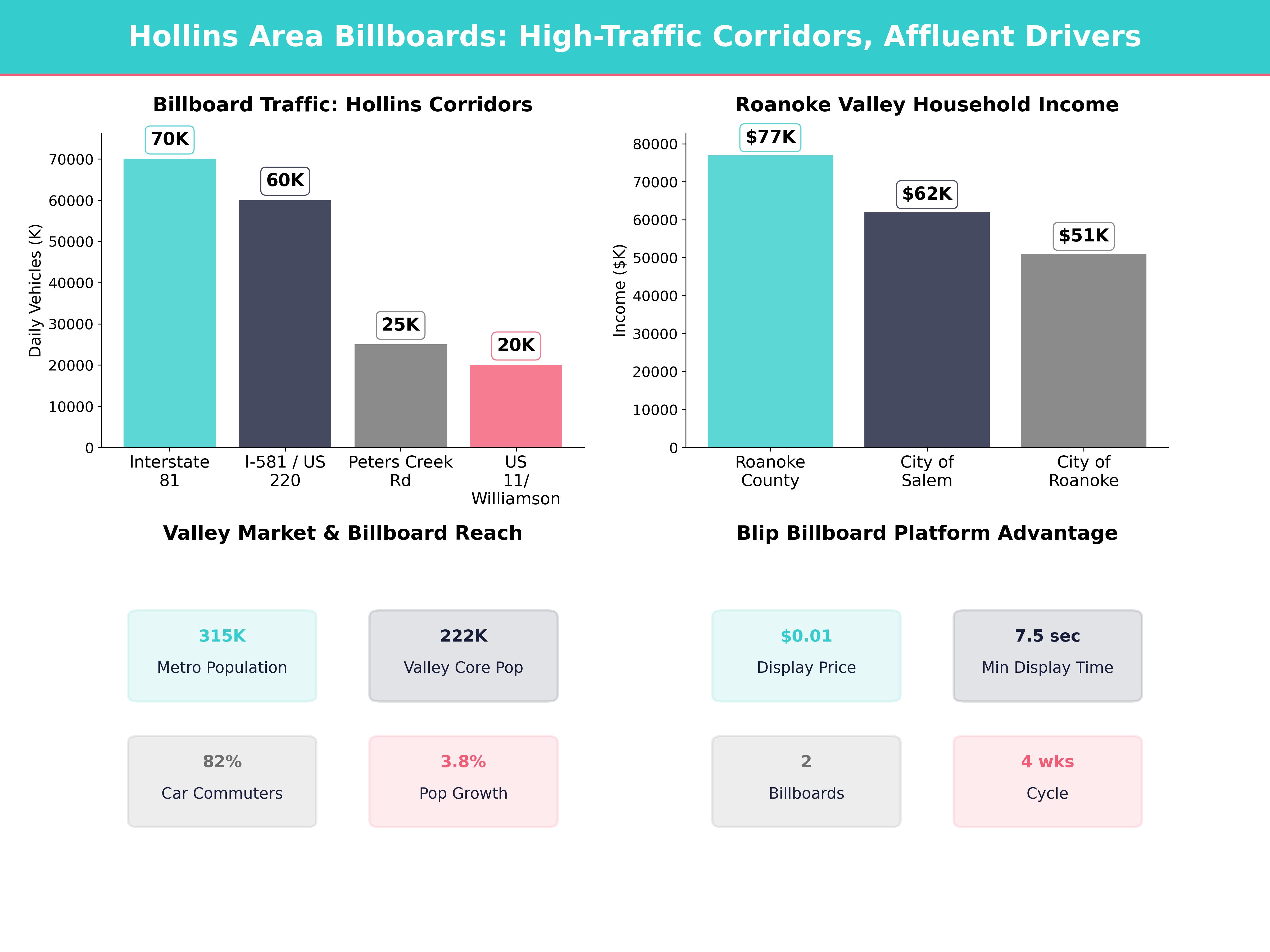Infographic showing key insights and demographics for Virginia, Hollins Va